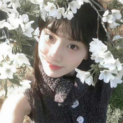 绘图师的合约
